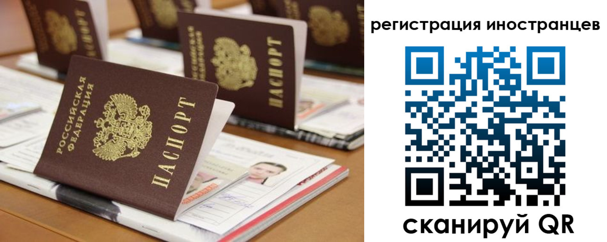 пропишу в квартире в Геленджике